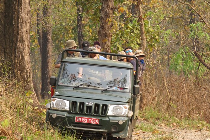 Chitwan: Safari Tour Package: A Comprehensive Guide to Nepal’s Wildlife Haven